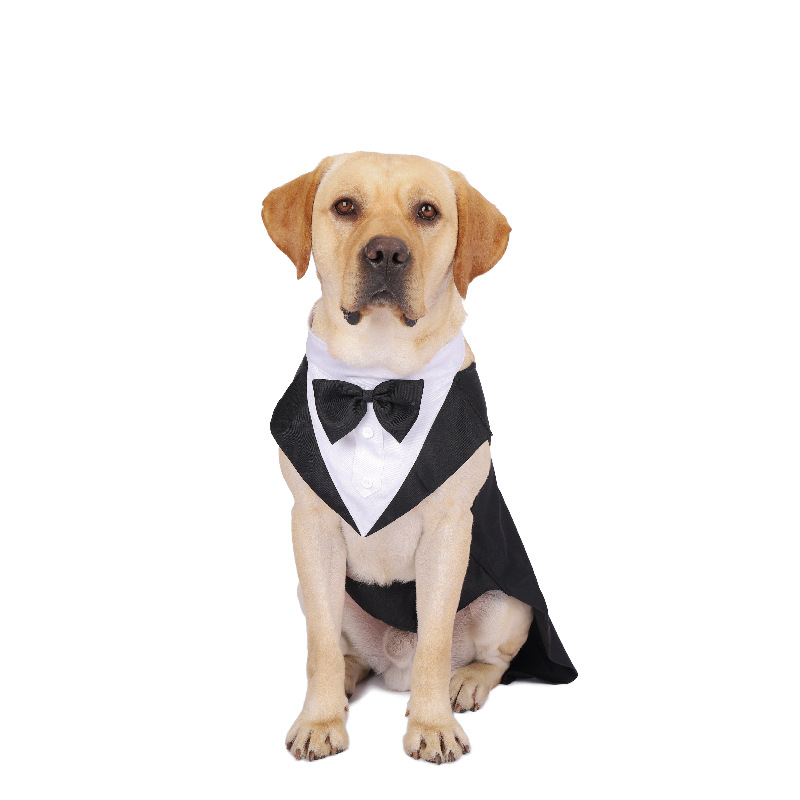Hond Kleding Fashion Party Sho - Suit Supply Wedding Party recensie en prijs
