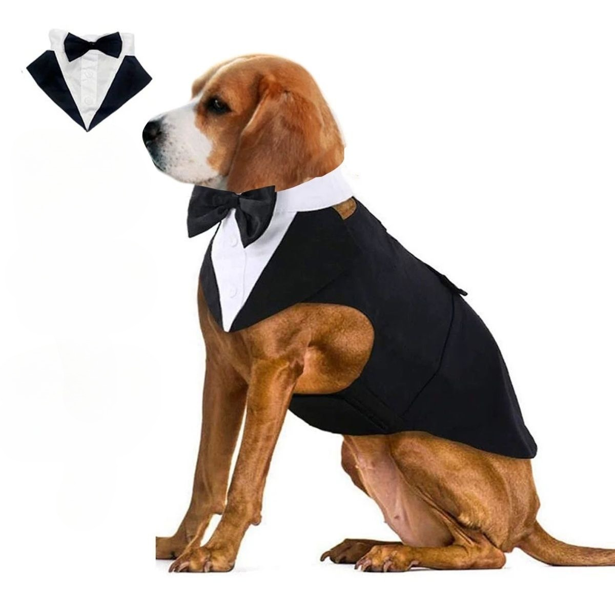 Hondenkleding mode feest show  - Suit Supply Wedding Party recensie en prijs